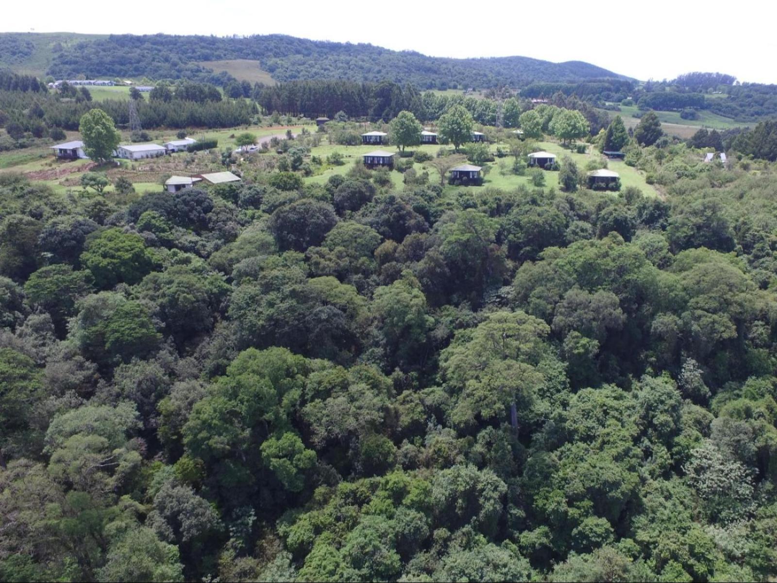 Midlands Forest Lodge Balgowan Esterno foto