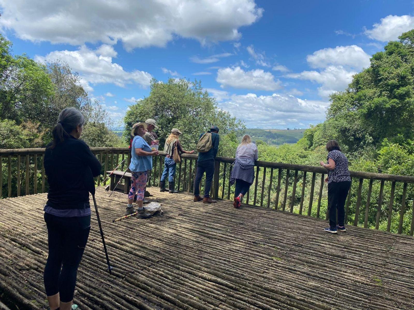 Midlands Forest Lodge Balgowan Esterno foto