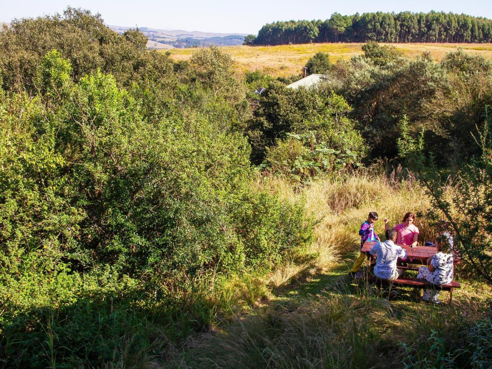 Midlands Forest Lodge Balgowan Esterno foto